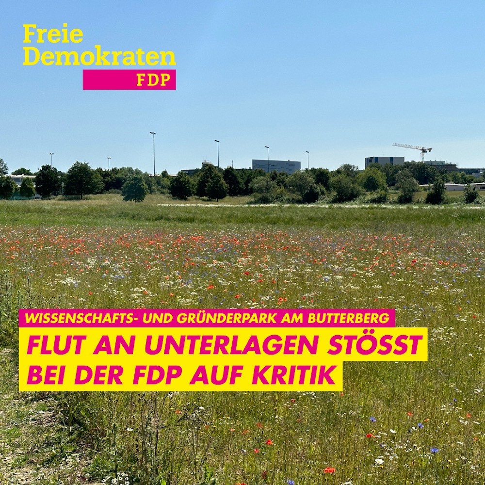 Wissenschafts- und Gründerpark am Butterberg: Flut an Unterlagen stößt bei der FDP auf Kritik
